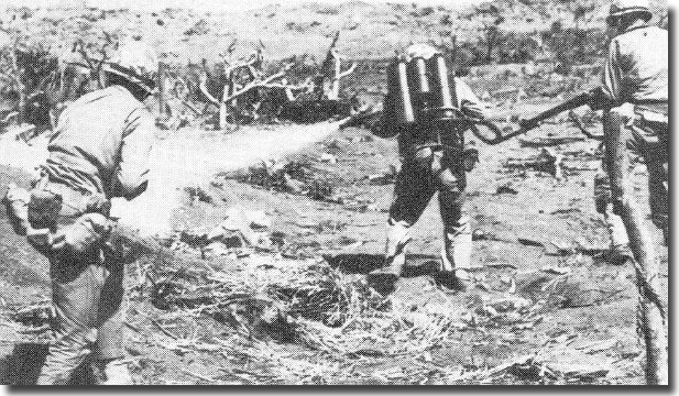 Flame Throwers, hand grenades, and Napalm were amongst the major weapons used to overcome the Japanese defenders.
