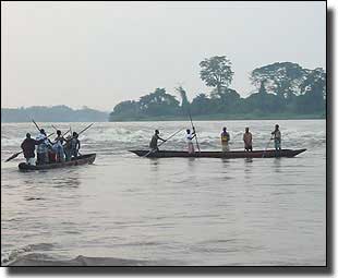 Wooden canoes still in use for fishing on the Congo River