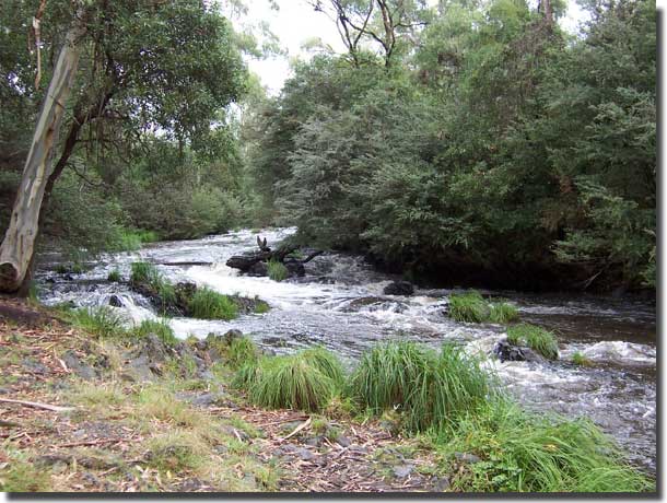 Meeting of the Waters at Buxton, Denise used to play here with her three brothers when a young girl