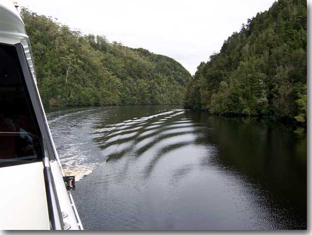 The Gordon River, a pristine wilderness area preserved for now and future generations