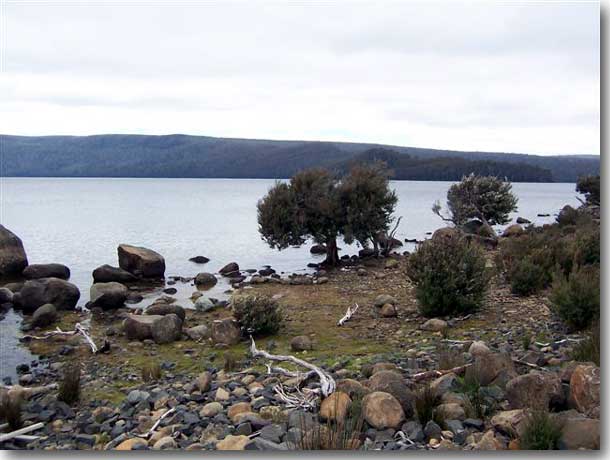 The shore of Sarah Island which sits in isolation within Macquarie Harbour